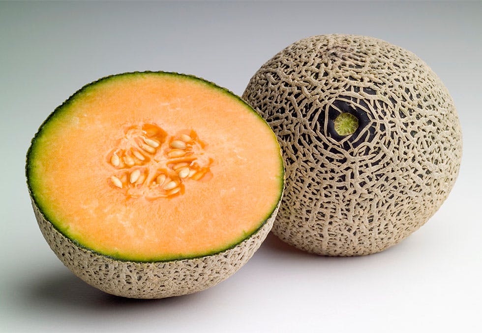 cantaloupe melon cantaloupe melon